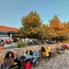 Pezseg a Balaton! Őszi bor-és pezsgőmustra a'la Zenit